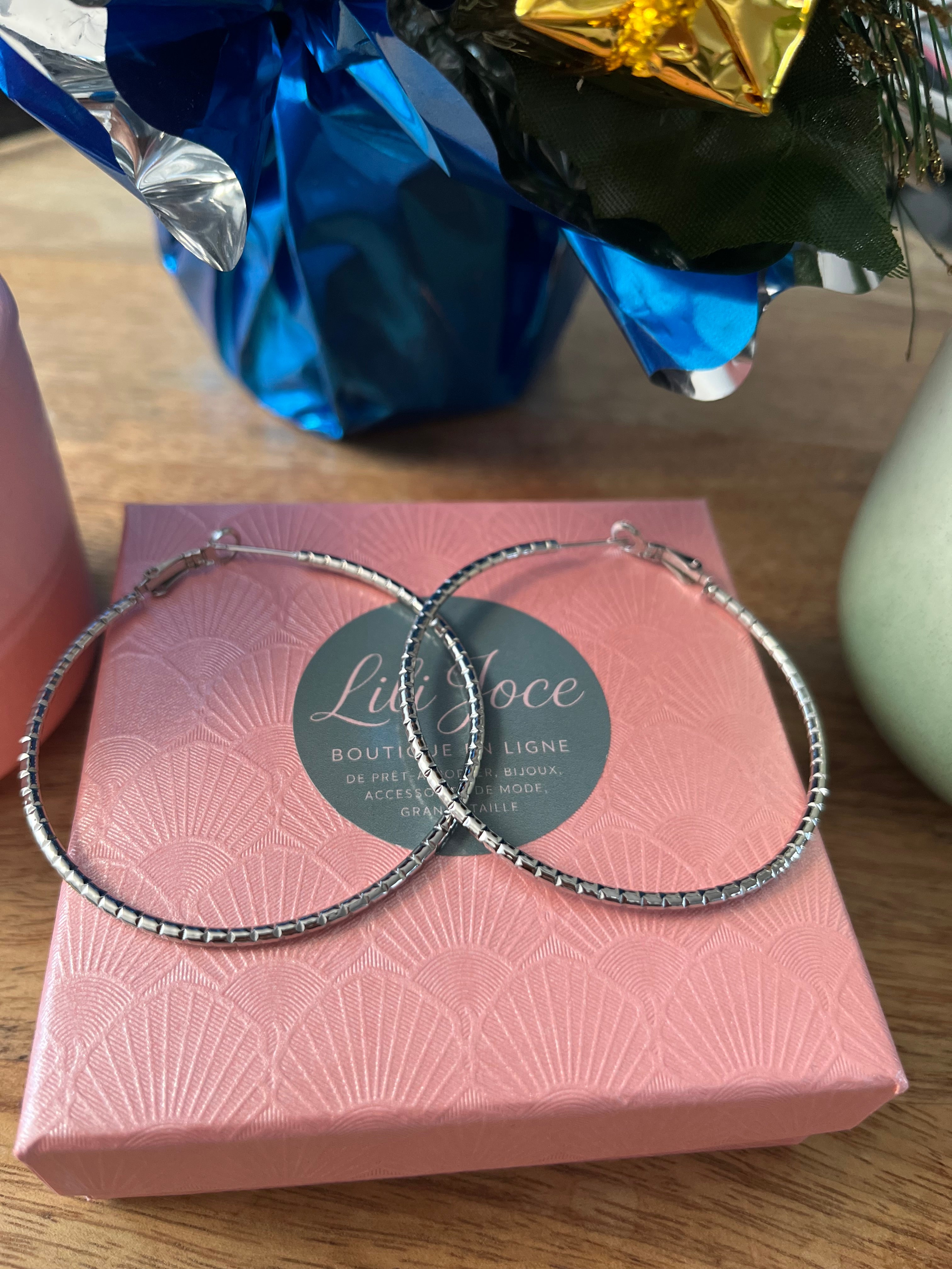 Boucles d'Oreilles Argentées Grande Créoles Fines